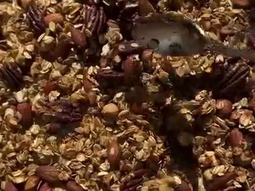 Baked banana nut granola with oats and pecans on a parchment-lined tray